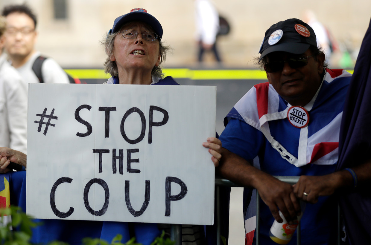 Anti-Brexitdemonstranten voor het parlement in Londen.  Beeld AP