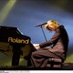Rock Werchter heeft line-up nu helemaal rond