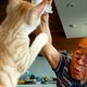Fotografe legt ontroerende band tussen haar opa en zijn kat vast