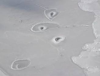 NASA zit met de handen in het haar: wat zijn deze bizarre cirkels op de Noordpool?