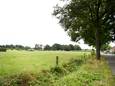 Het weiland op de hoek van de Veldkamp en Invalsweg, dat aangekocht is door een projectontwikkelaar. Woningen komen er volgens de gemeente Losser niet.