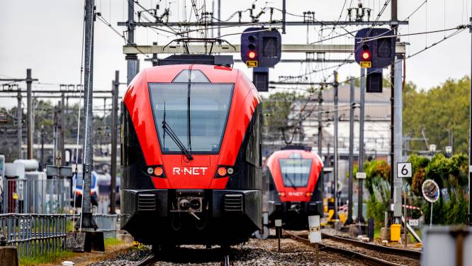 Een kapotte trein en werk op het spoor zorgen voor problemen op de MerwedeLingelijn