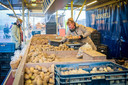 Carolien Kruythof aan het werk in haar aardappelenkraam op de woensdagmarkt in Rozenburg.