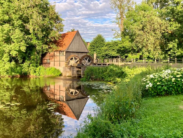De watermolen van Lage, badend in de avondzon. De molen, die een eerste vermelding kreeg in 1270, heeft nu zijn eigen Facebookpagina met 5000 vrienden.