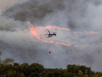 Zware bosbranden in regio rond Malaga na zes dagen ‘onder controle’ door regenval