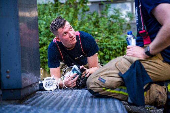 Een brandweerman hielp de geredde kat Kai aan zuurstof.