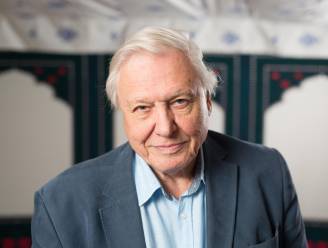 PORTRET. David Attenborough (94), hét boegbeeld van de natuur: “Ik zal niet meer meemaken hoe we de aarde kunnen redden”