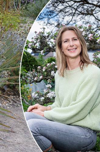 Wil je water besparen in de tuin? Deze planten hebben geen schrik van de droogte volgens onze tuinexperte