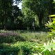 Nieuwe luistergids voor het Beatrixpark: ‘Het gaat om andere manieren om je tot de wereld te verhouden’