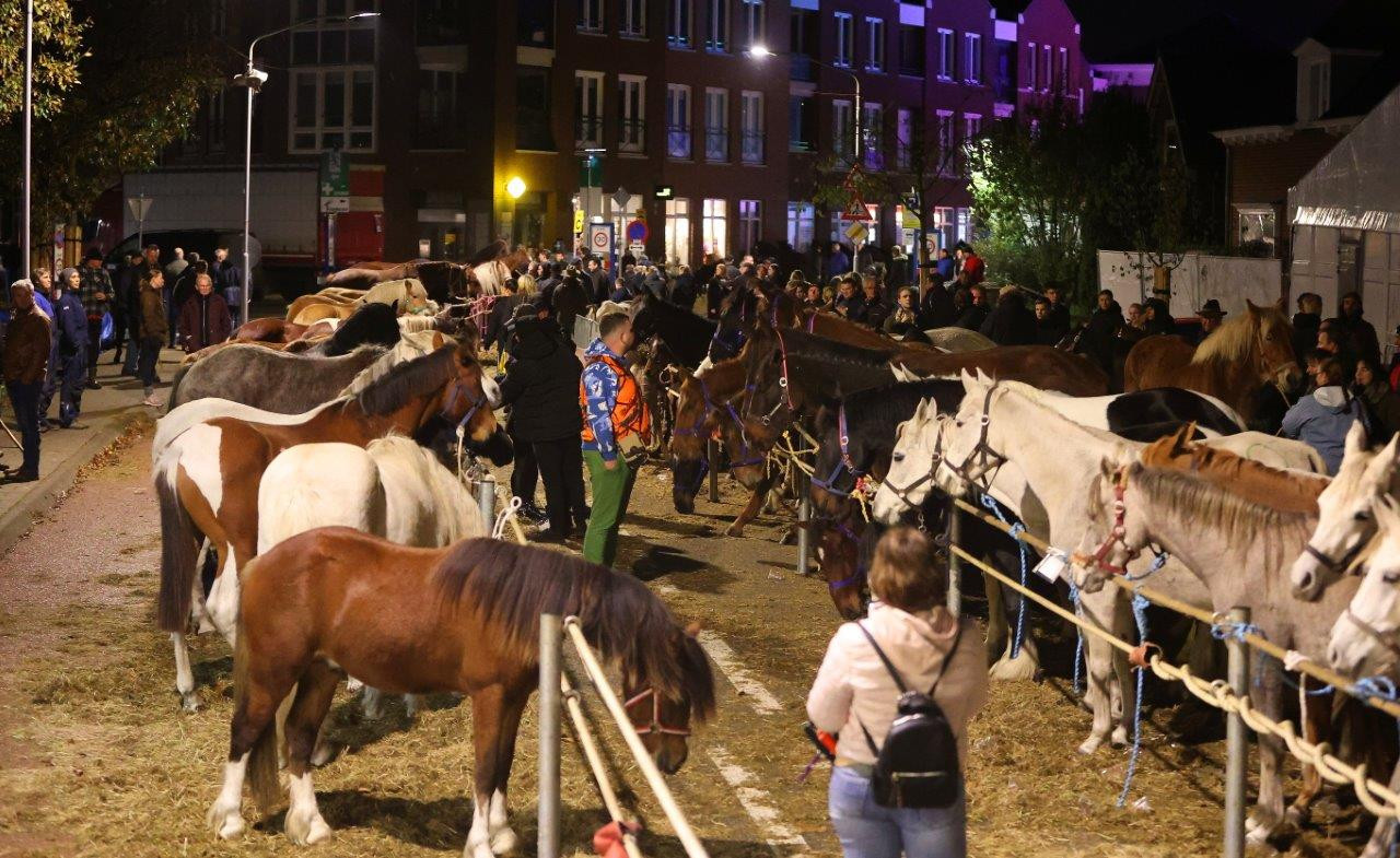 Dit moet je weten over de eeuwenoude Paardenmarkt in Hedel (zeker als