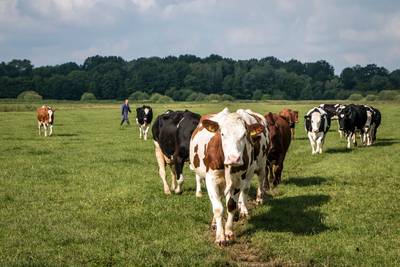 Zorgboerderij de Maashoeve en Leermakers Autismegroep slaan handen ineen