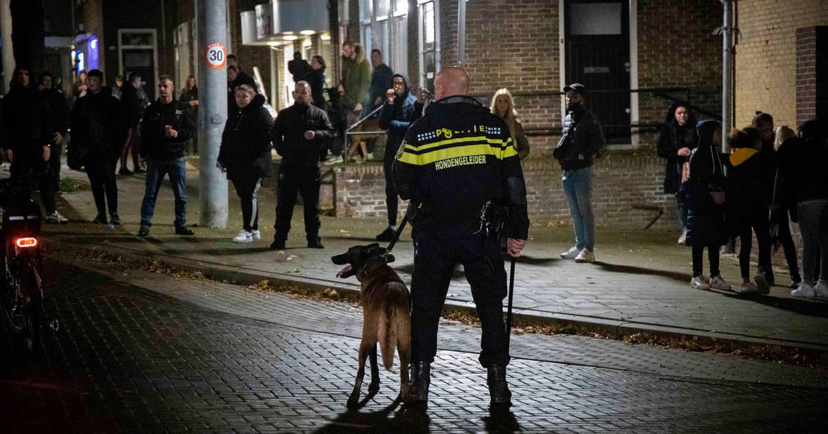 Het diepe dal van een prachtige arbeiderswijk op een Arnhemse heuvel: ‘Iedereen weet alles van elkaa