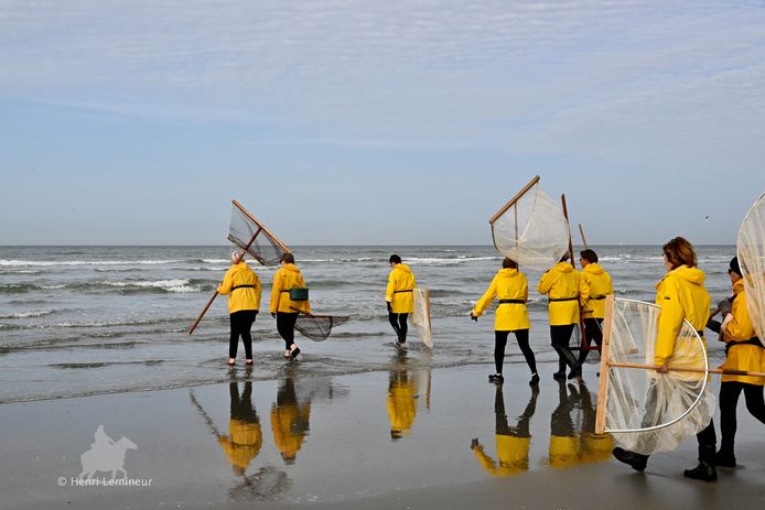 Kledingwinkels oostduinkerke online