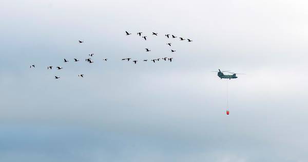 Oefening: met Cougar en Chinook een brand te lijf