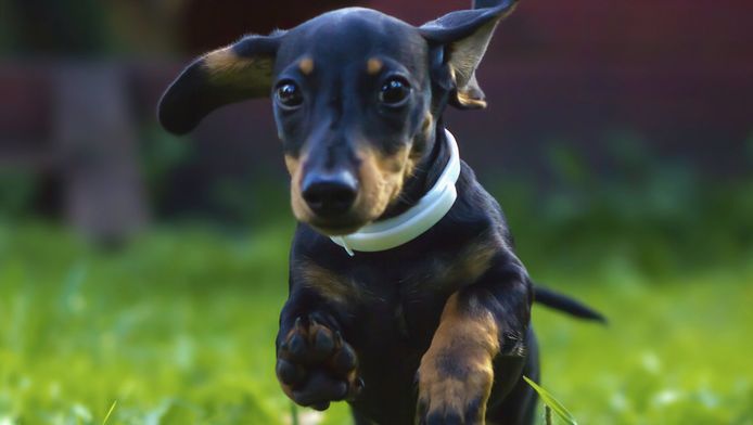 britse vrouw krijgt kloon van haar