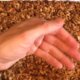 You Suck at Cooking steekt de draak met New Agers (filmpje)