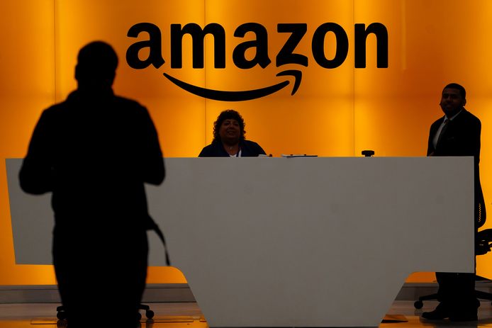 Het e-commercebedrijf Amazon werd slachtoffer van een aanval door cybercriminelen.