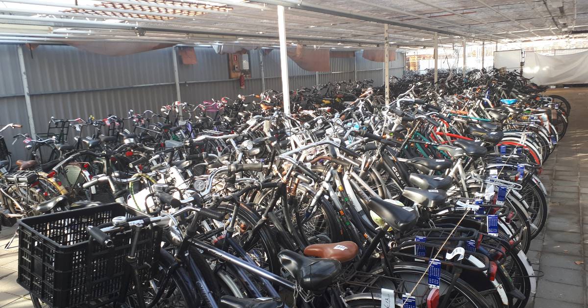 paspoort bijtend Belonend Honderden Bossche fietsen wachten vergeefs op eigenaar | Den Bosch, Vught |  bd.nl