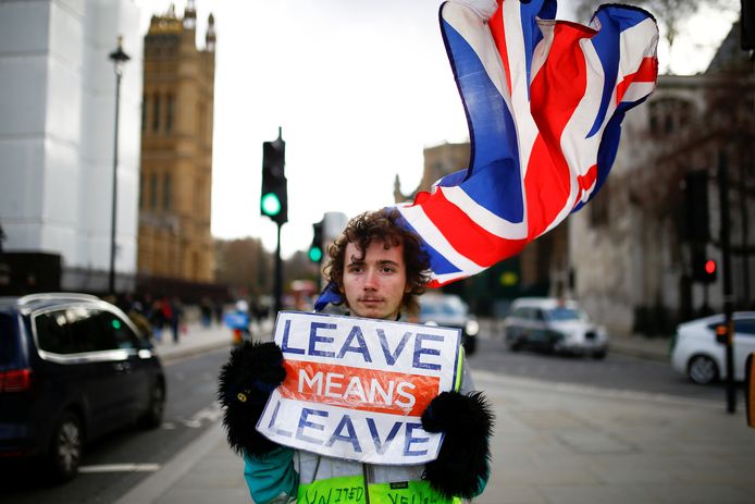 Een voorstander van de brexit demonstreert bij het Lagerhuis in Londen.