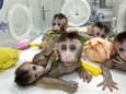 China kloont vijf aapjes voor medisch onderzoek in "monsterlijk" experiment 