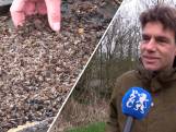 Zeeuwse imkers in zak en as: ‘Bijna al mijn bijen zijn dood’
