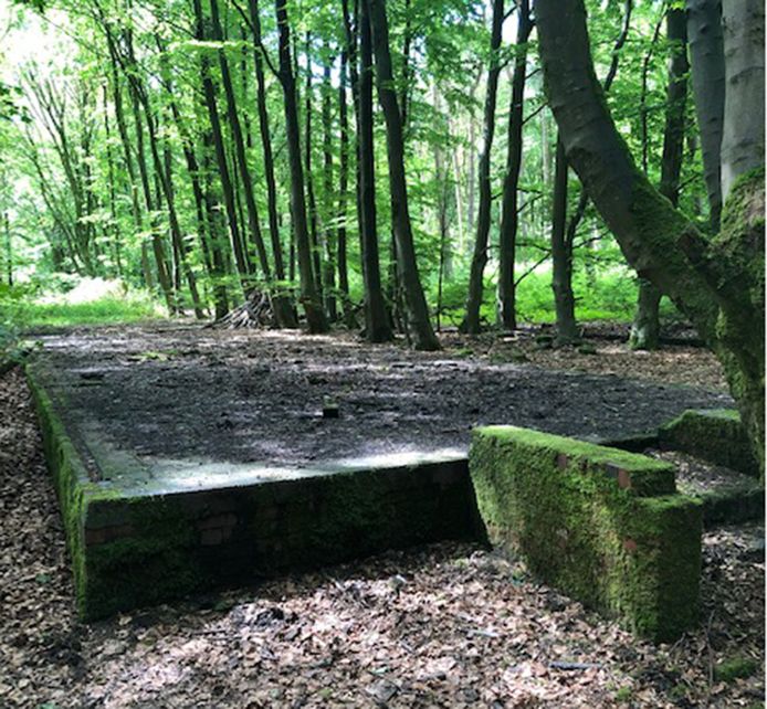 De archeologische site was begraven onder mos en bomen, en wordt anno 2019 voornamelijk gebruikt als een rustige uitlaatplaats voor honden.