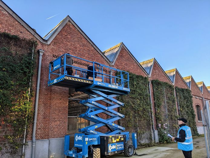 De stad Antwerpen heeft 30 nestkastjes voor gierzwaluwen geïnstalleerd aan de noordgevel van het voormalige spoorweggebouw in Park Spoor Noord.