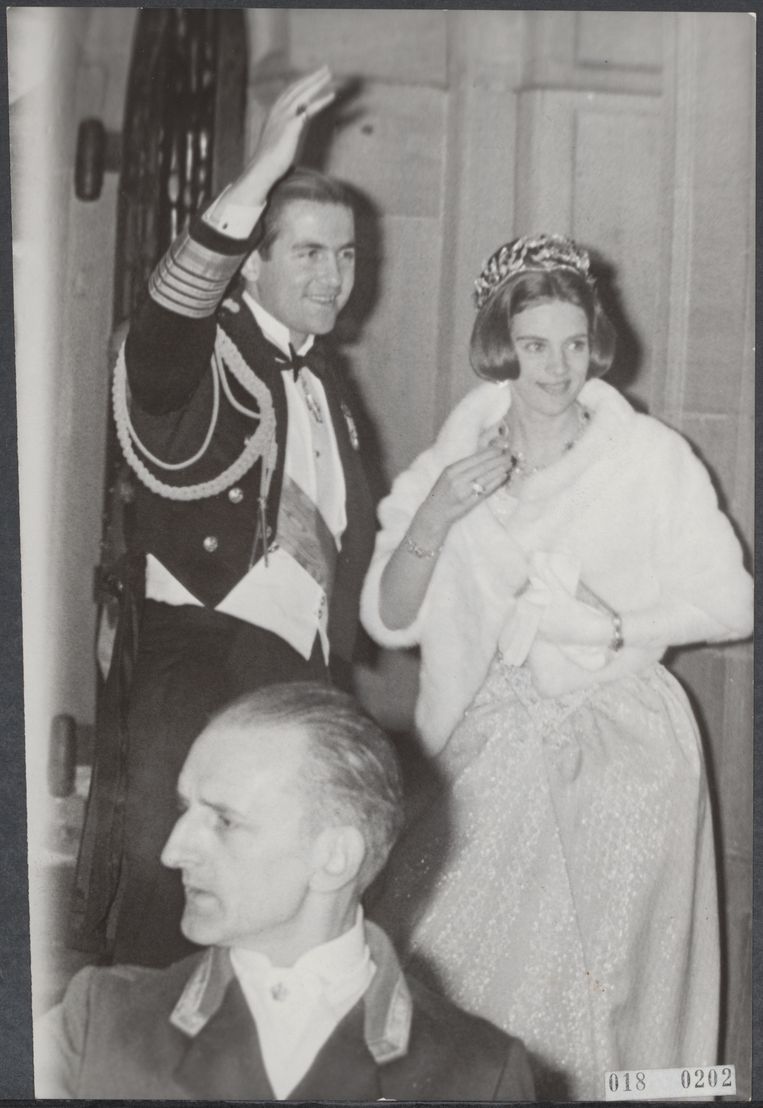 Koninklijke kiekjes zó close zijn de