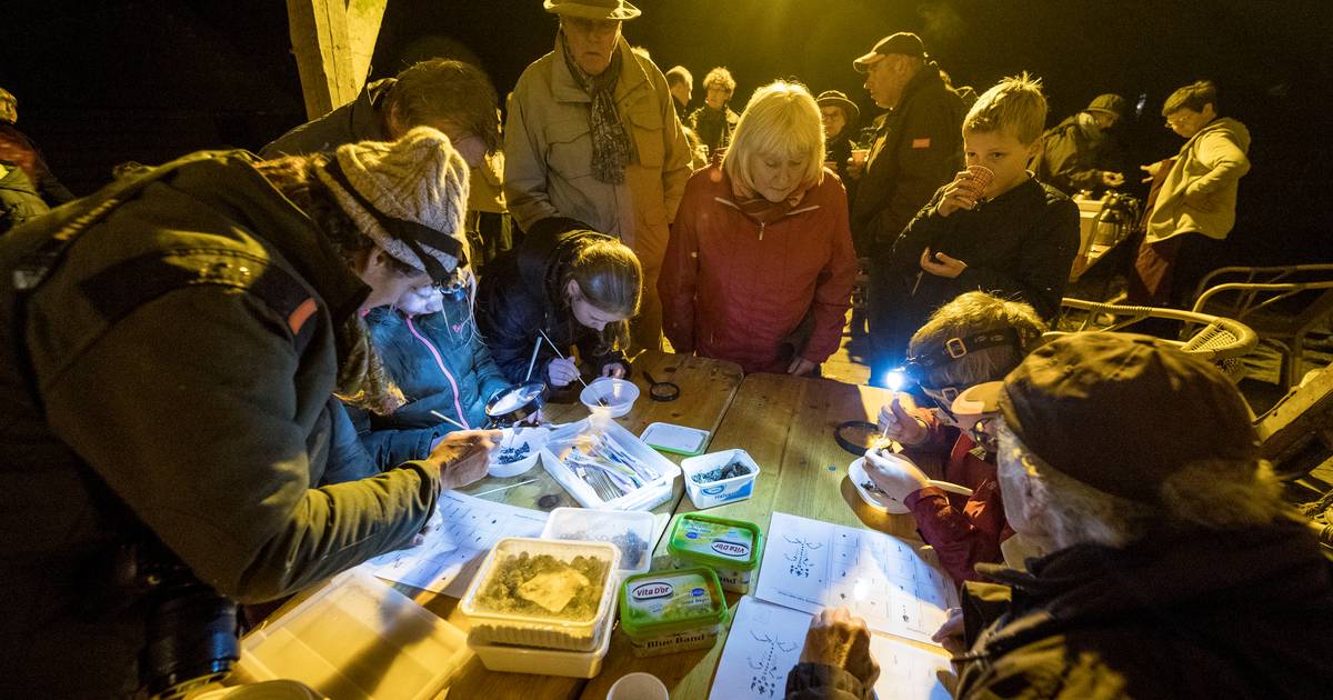 Zo voelt het om op het donkerste plekje van het land te lopen: Het Springendal