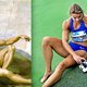 Dafne en de olympiër van de renaissancekunst