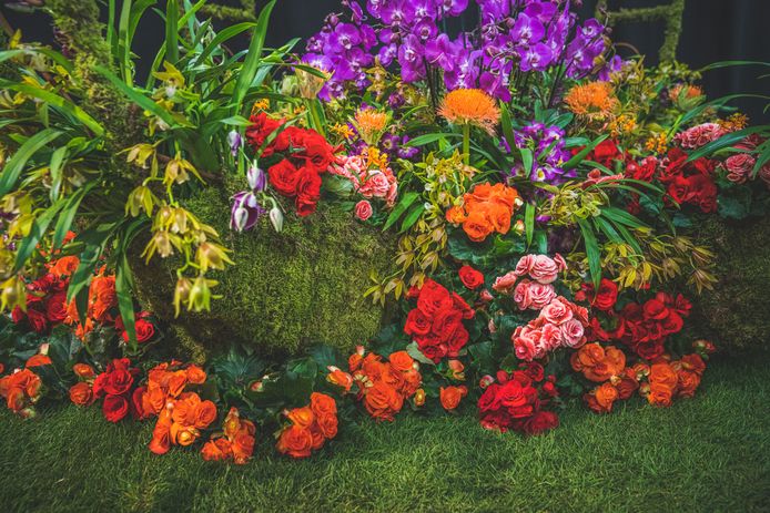 Floraliën in Gent? Dan doen alle creatievelingen mee