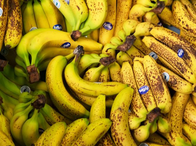 Bruine, zachte bananen niet meer lekker? Onzin, deze fabriek in Geldermalsen maakt er brood van