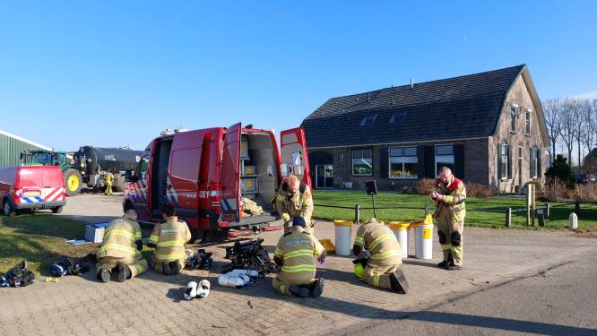 Brandweer redt 60 varkens uit mestput nadat stalvloer het begeeft: boer flink geschrokken; één dier overleden
