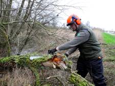 Stormschade in de Biesbosch is groot en daarom zijn lang niet alle wandelpaden vrij van omgevallen bomen