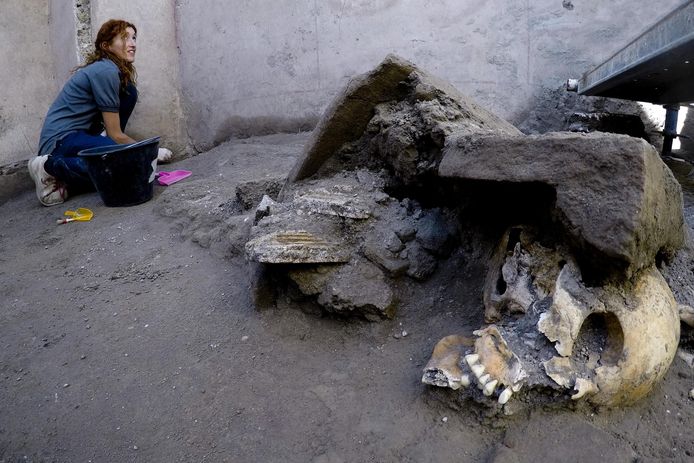 De resten van vijf personen, waarschijnlijk twee vrouwen en drie kinderen, werden recentelijk gevonden bij opgravingen in Pompeii