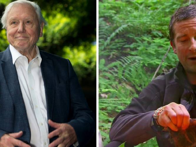 Sir David Attenborough haalt uit naar Bear Grylls om 'sensationeel slachten' van dieren in survivalprogramma: "Hij mag het komen uitleggen"