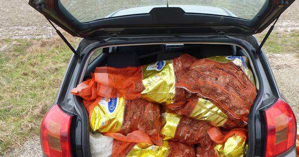 Echtpaar uit Goes betrapt op rapen oesters | Schouwen-Duiveland - PZC