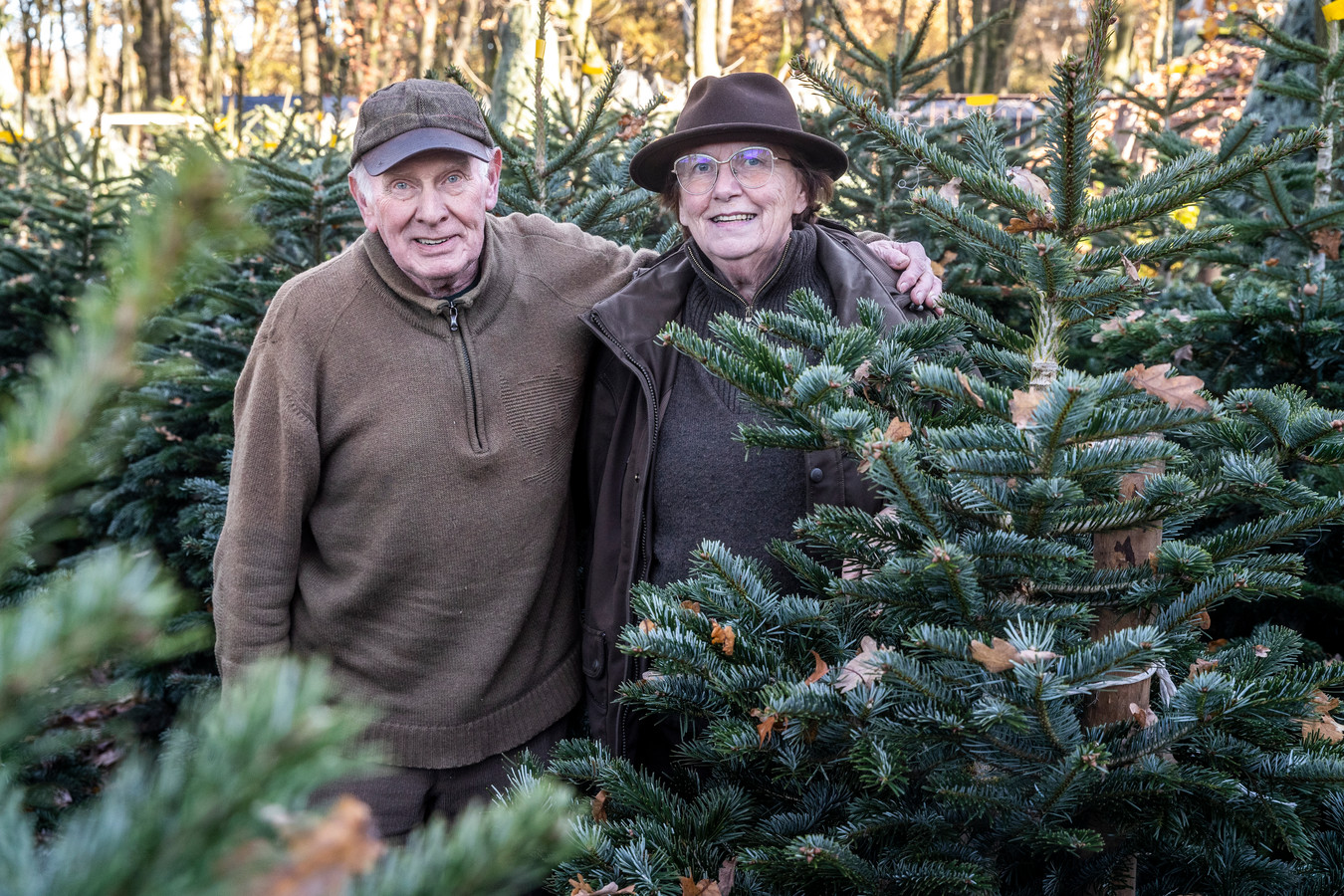 Jan en Kitty Schuurmans zijn weer als vanouds in de weer met de kerstbomen op hun terrein, waar ze vorig jaar oktober werden overvallen.