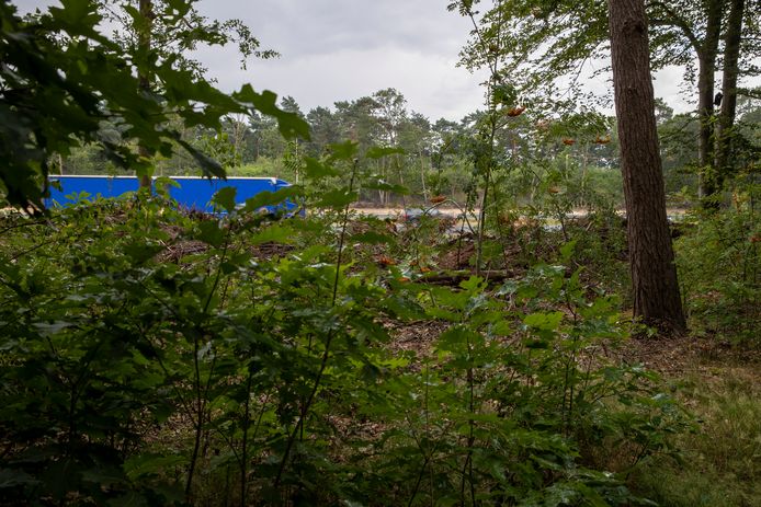 In de bossen bij de Moormanlaan tussen Veldhoven en Knegsel - die parallel loopt aan de A67 - is volgens het Veldhovense raadslid Gerrit Coppens in toenemende mate sprake van overlast door mannen die elkaar opzoeken voor seks. Volgens de gemeente Veldhoven zijn er echter geen meldingen en/of aangiften bekend.