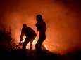 Minstens 37 doden bij bosbranden in Portugal en Spanje