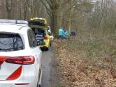Paard slaat op hol: amazone gewond naar het ziekenhuis