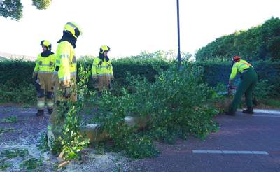 Harde wind raast over Brabant: omgevallen bomen en een zandstorm op akkers