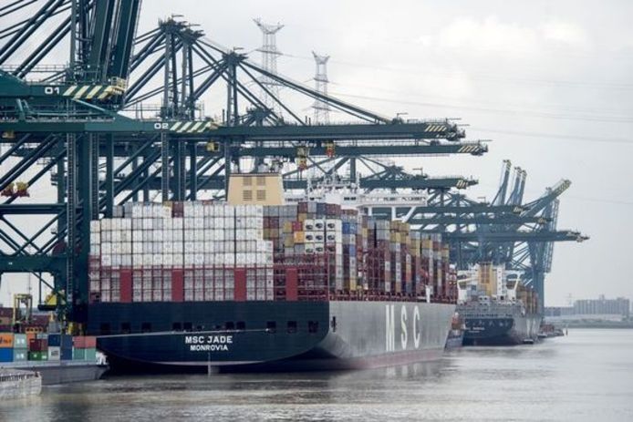 De opgepakte havenarbeiders werkten vooral op de  containerterminal van MPET aan het Deurganckdok.
