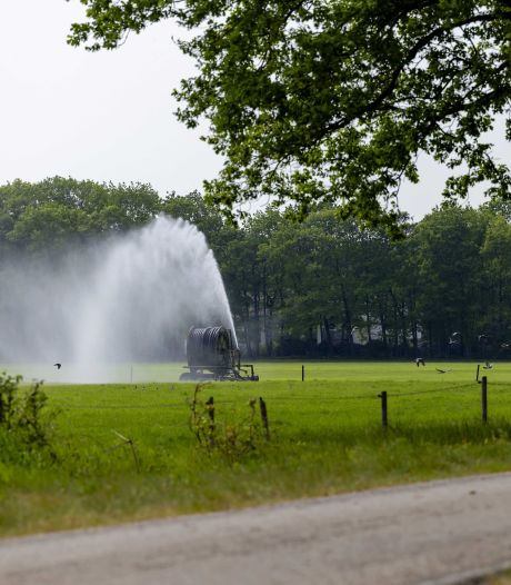 Waterschap Vallei en Veluwe staat klaar om maatregelen te nemen tegen droogte: ‘Het geeft potentieel veel schade’
