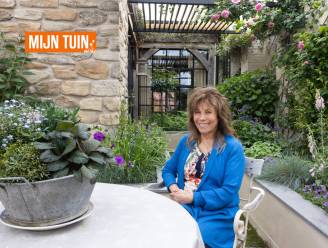 MIJN TUIN. Welkom op het unieke dakterras van landschapsarchitecte Dina Deferme in hartje Hasselt: “Moeilijkste tuin die ik ooit ontworpen heb”
