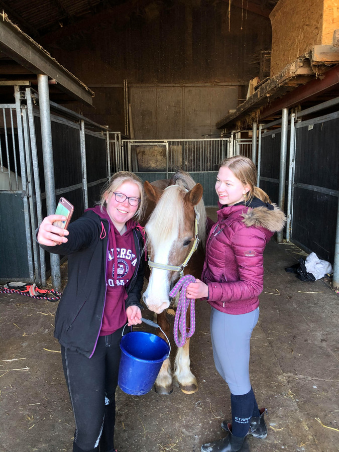 Ger Gem Woerden Live Manege Morgenstond Woerden live op Instagram: ‘Hoe gaat het met Magic