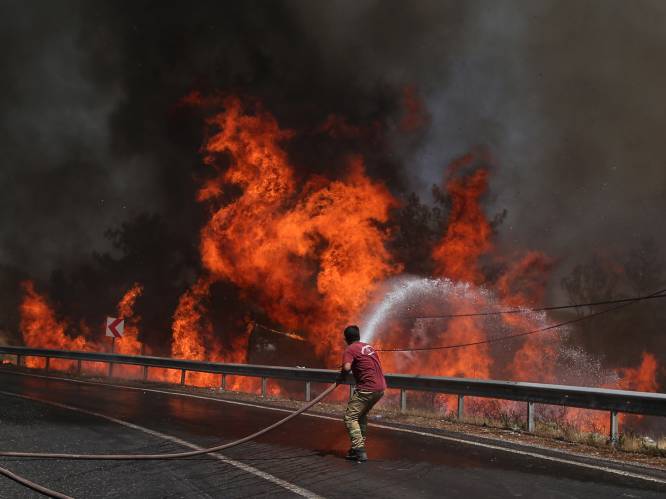 Bijna alle bosbranden in Turkije onder controle, ellende in Bodrum en Marmaris nog niet voorbij