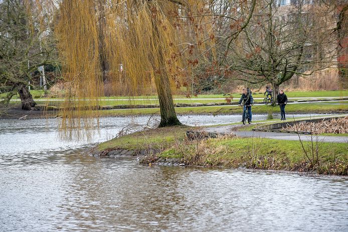 De vijver in het Anton van Duinkerkenpark.