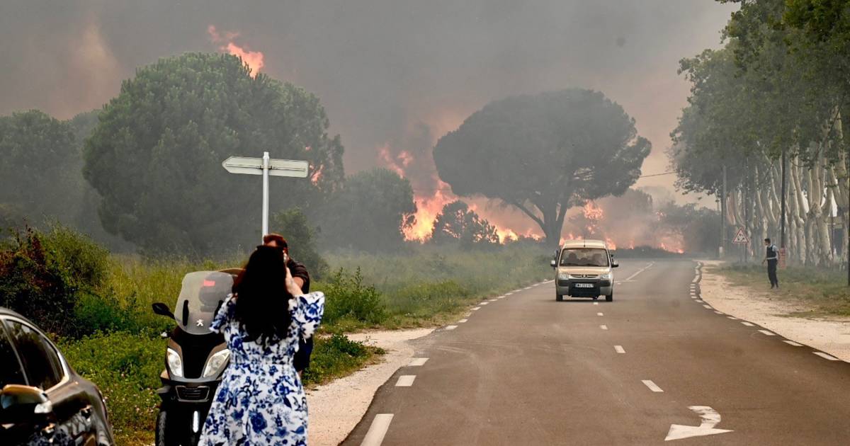 Incendie dans les campings du sud de la France sous contrôle, il y a un risque que le feu reprenne |  À l’étranger