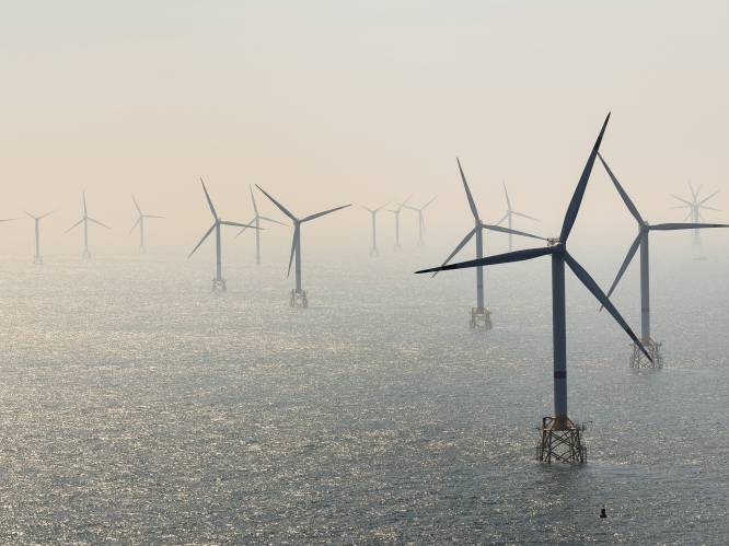 Belgische windparken op zee zitten op recordkoers